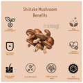 Rooted Active Naturals Shiitake Mushroom Extract Powder thumbnail