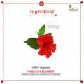 Khadi Naturals Organic Hibiscus Flower Powder thumbnail