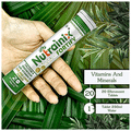Nutrainix Fortify Calcium & Magnesium with Vitamin D3 Effervescent Tablet (20 Each) Lime-Lemon thumbnail