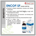 Millennium Herbal Care Encof-SF Cough Linctus (60ml Each) Sugar Free thumbnail