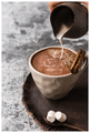 Namhya Cocoa Cinnamon Latte Powder thumbnail