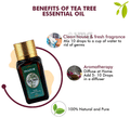 Inatur Tea Tree Pure Essential Oil thumbnail