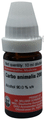 Dr Willmar Schwabe Germany Carbo Animalis Dilution 200 thumbnail