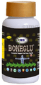 CMG Nutritions Boneglu Tablet Essential Support for Bone Health thumbnail