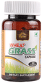 Cipzer Wheat Grass Capsule thumbnail
