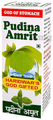 Pudina Amrit thumbnail