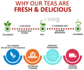 Teacurry Cleanse Tea Bag (2gm Each) thumbnail