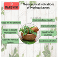 Darshini Moringa Leaves / Sanjna / Sigru / Murungai / Moringa Powder thumbnail