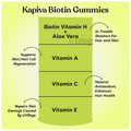 Kapiva Biotin Gummies Strawberry thumbnail