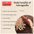 Darshini Ashwagandha Withania Somnifera Powder thumbnail