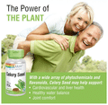 Solaray Celery Seed 505mg Vegicap | For Cardiovascular & Liver Health thumbnail