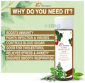 Dr. Morepen Cold Pressed Giloy+Tulsi Juice thumbnail