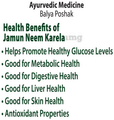 Dabur Jamun Neem Karela Juice thumbnail