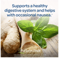Puritan's Pride Premium Ginger Root 550mg Rapid Release Capsule thumbnail