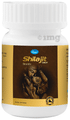 Leeford Shilajit Tablet thumbnail