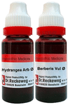 Combo Pack of Dr. Reckeweg Berberis Vul Mother Tincture Q & Dr. Reckeweg Hydrangea Mother Tincture Q (20ml Each)