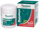Himalaya Wellness Himalaya Rumalaya Pain Balm | Fast Relief From Headache And Neck Pain Ayurvedic