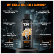 l carnitin tartrat unterschied L-Carnitine Tartrate, L-Carnitin-Tartrat, 240 Kapseln (500 mg pro Kapsel)