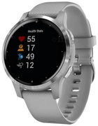 Garmin Vivoactive 4 Hybrid Smartwatch Grey Buy box of 1.0 Unit at
