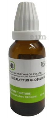 MB Eucalyptus Globulus Mother Tincture Q MB Eucalyptus Globulus Mother Tincture Q