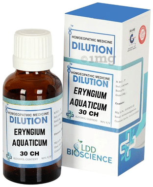 LDD Bioscience Eryngium Aquaticum Dilution 30 CH LDD Bioscience Eryngium Aquaticum Dilution 30 CH