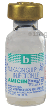 Amicin 100mg Injection