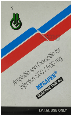 Megapen 1 gm Injection