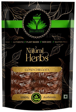 Sai Herbs Gond Chilgoza Sai Herbs Gond Chilgoza