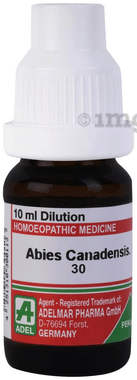 ADEL Abies Canadensis. Dilution 30 ADEL Abies Canadensis. Dilution 30