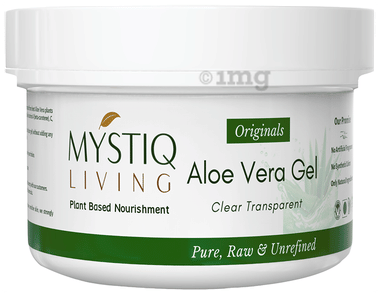 victorian bird nest fern Bird's Nest Victoria Fern - Lush Indoor Plant, Pet-friendly Houseplants
