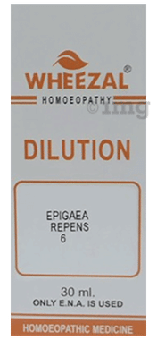 Wheezal Epigaea repnes Dilution 6 Wheezal Epigaea repnes Dilution 6
