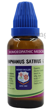 Father Muller Raphanus Sativus Drop Q