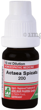 ADEL Actaea Spicata. Dilution 200 ADEL Actaea Spicata. Dilution 200