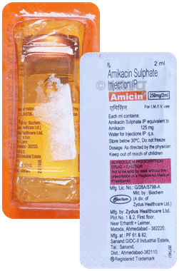 Amicin 250mg Injection