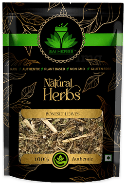 Sai Herbs Boneset Leaves