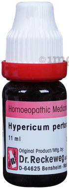 Dr. Reckeweg Hypericum Per Dilution 200 CH Dr. Reckeweg Hypericum Per Dilution 200 CH