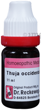 Dr. Reckeweg Thuja Occ Dilution 1000 CH Dr. Reckeweg Thuja Occ Dilution 1000 CH