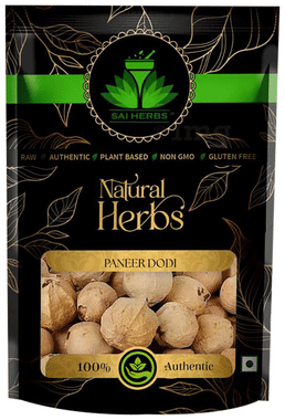 Sai Herbs Paneer Dodi Sai Herbs Paneer Dodi
