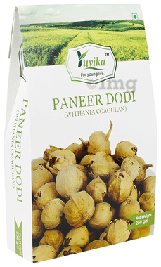 Yuvika Paneer Dodi - Paneer Ke Phool - Withania Coagulan Yuvika Paneer Dodi - Paneer Ke Phool - Withania Coagulan