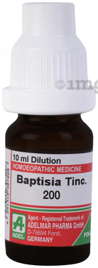 ADEL Baptisia T Dilution 200 ADEL Baptisia T Dilution 200