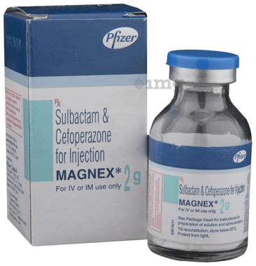 Magnex 2gm Injection