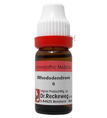 Dr. Reckeweg Rhododendron Dilution 6 CH Dr. Reckeweg Rhododendron Dilution 6 CH