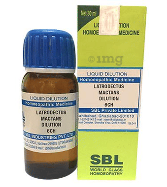 SBL Latrodectus Mactans Dilution 6 CH SBL Latrodectus Mactans Dilution 6 CH
