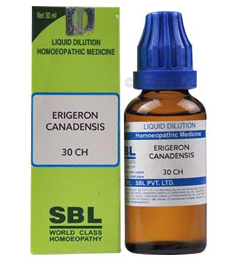 SBL Erigeron Canadensis Dilution 30 CH SBL Erigeron Canadensis Dilution 30 CH