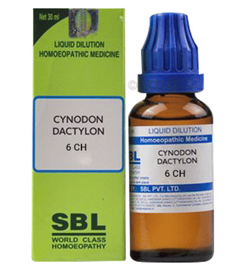 SBL Cynodon Dactylon Dilution 6 CH