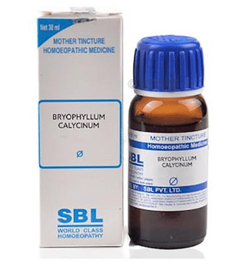 SBL Bryophyllum Calycinum Mother Tincture Q