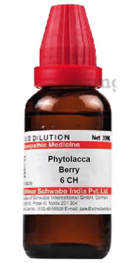 Dr Willmar Schwabe India Phytolacca Berry Dilution 6 CH Dr Willmar Schwabe India Phytolacca Berry Dilution 6 CH