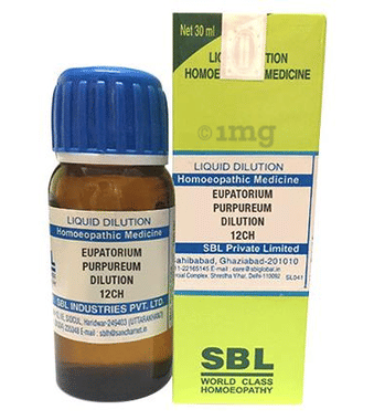 SBL Eupatorium Purpureum Dilution 12 CH SBL Eupatorium Purpureum Dilution 12 CH