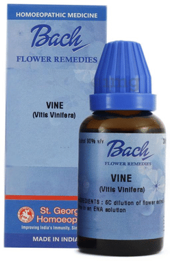 St. George’s Bach Flower Vine 6 CH
