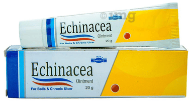 Hapdco Echinacea Ointment Hapdco Echinacea Ointment